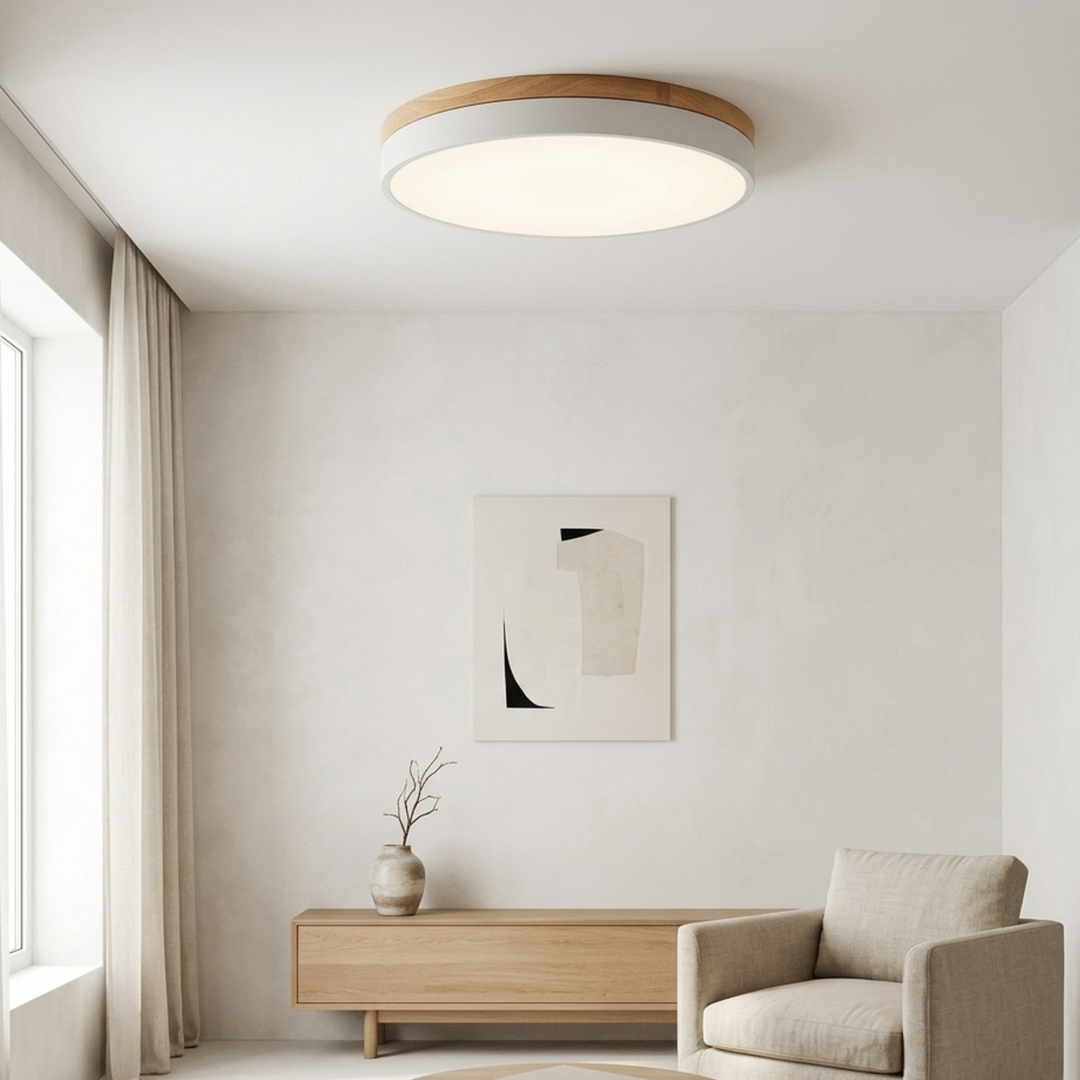 Round Disc Ceiling Light – Flat, Flush-Mounted Light