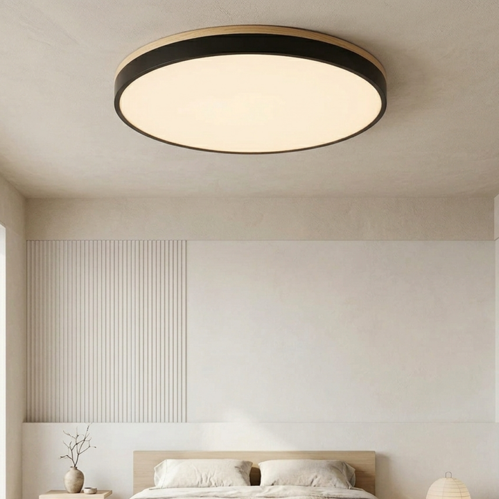 Round Disc Ceiling Light – Flat, Flush-Mounted Light