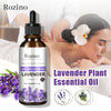 Lavender Plant Essential Oil