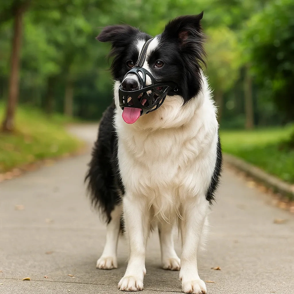 Dog Muzzle | Breathable & Adjustable for Training and Daily Use