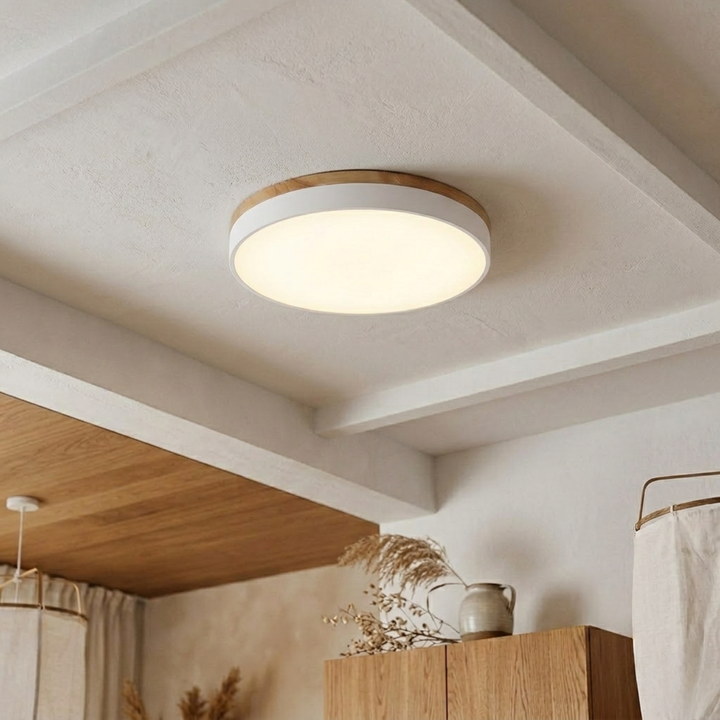 Round Disc Ceiling Light – Flat, Flush-Mounted Light