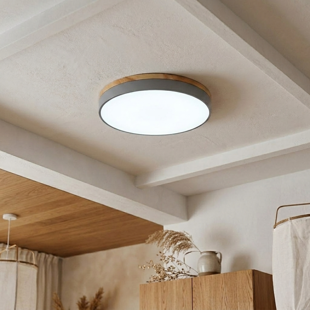 Round Disc Ceiling Light – Flat, Flush-Mounted Light