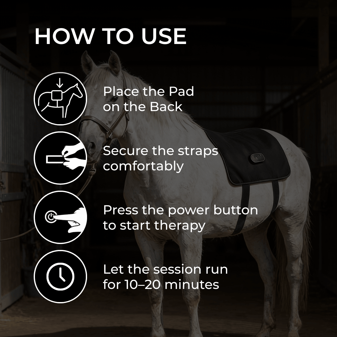 LED Red Light Therapy Back Wrap for Horses