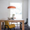 Arisha Modern LED Pendant Lamp Black Metal Living Room/Bedroom