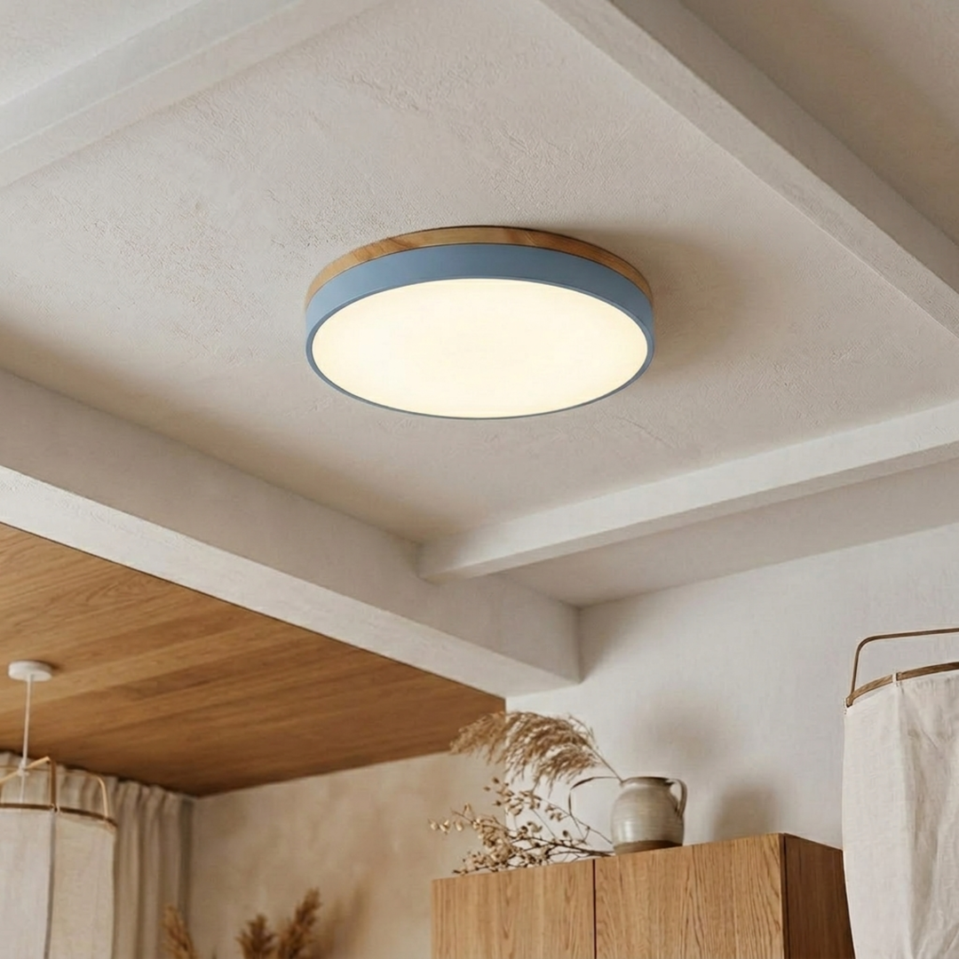 Round Disc Ceiling Light – Flat, Flush-Mounted Light