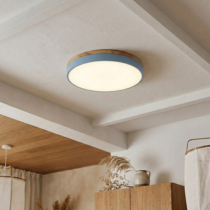 Round Disc Ceiling Light – Flat, Flush-Mounted Light