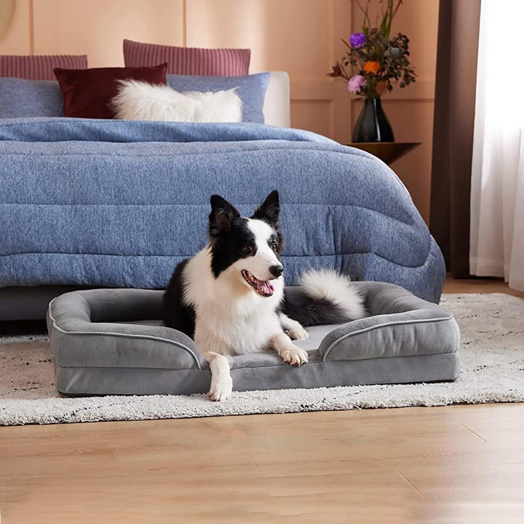 Designed for balance Dog Bed