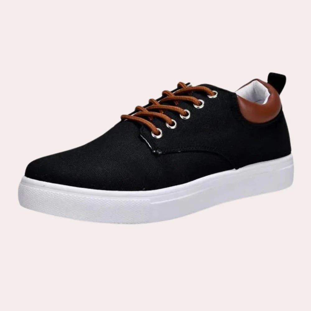 Spring Shoes for men