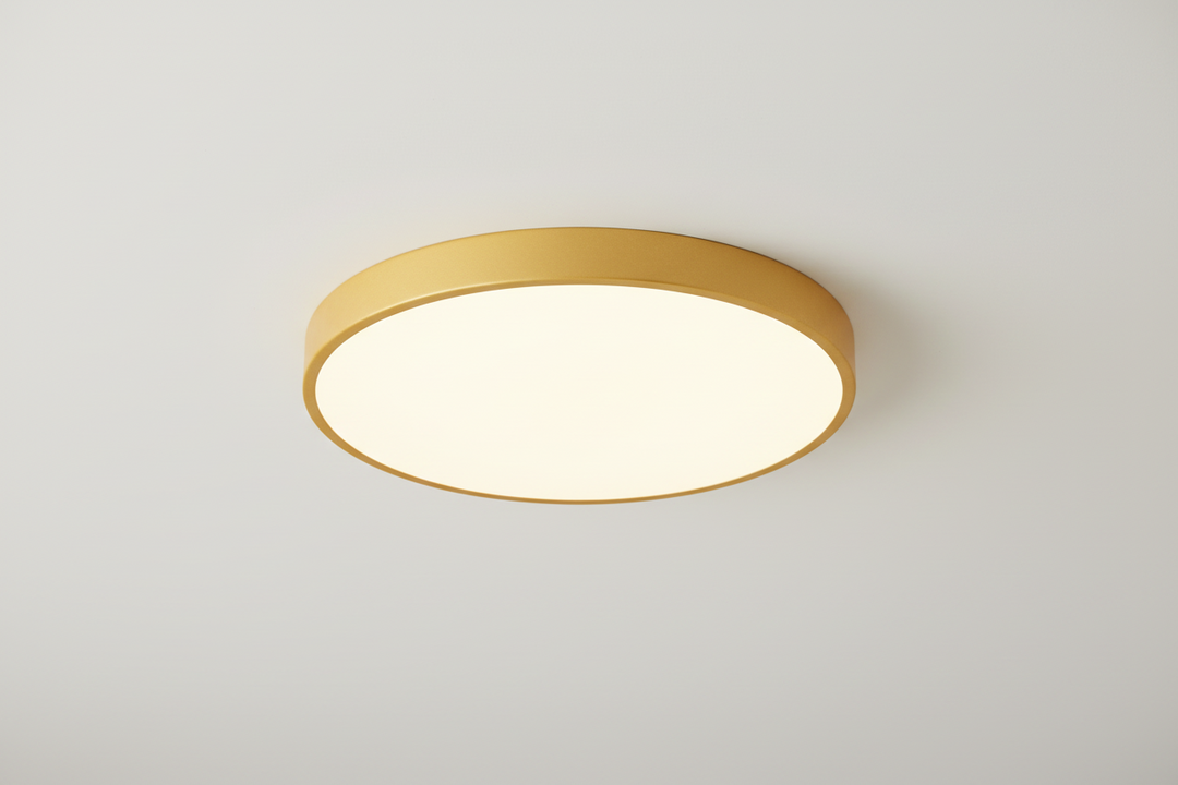 Round LED Ceiling Light