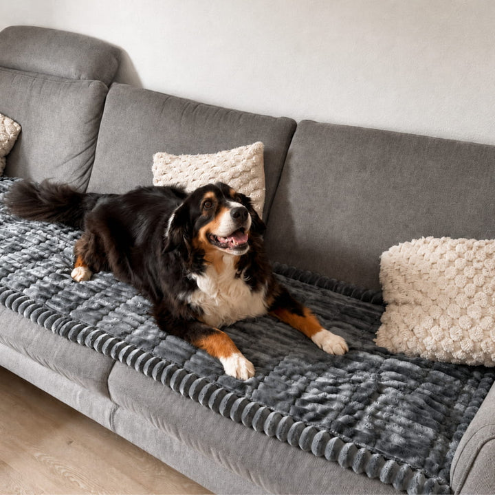 Brittany Sofa Cover — Water-Repellent Blanket for Dogs and Cats