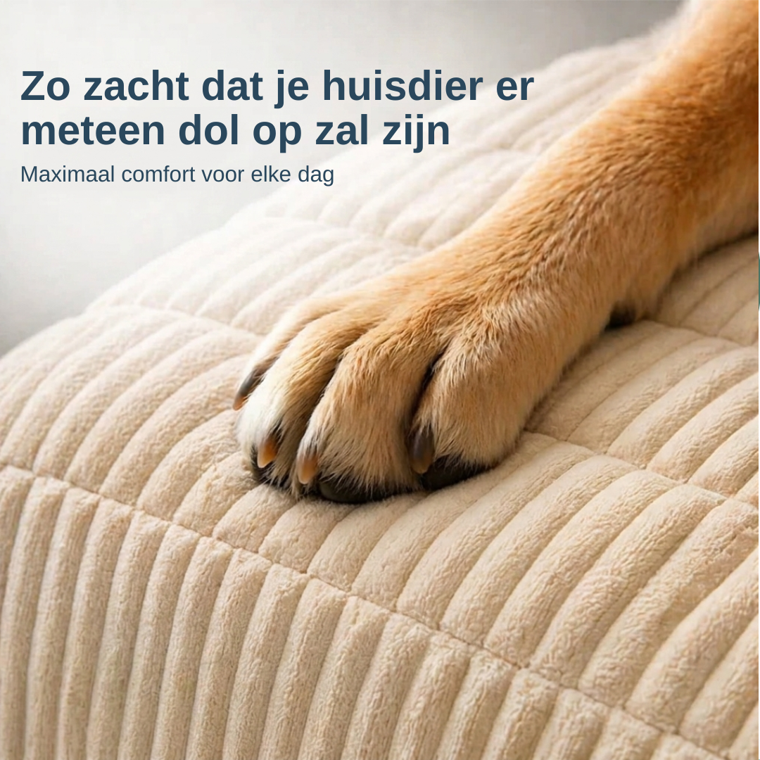 Brittany Sofa Cover — Water-Repellent Blanket for Dogs and Cats