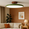 Modern Adjustable LED Ceiling Lamp