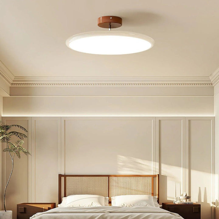 Modern Adjustable LED Ceiling Lamp
