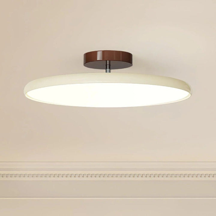 Modern Adjustable LED Ceiling Lamp