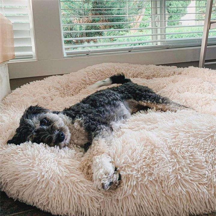 Soothing Anti-Stress Dog Bed – Nuvio