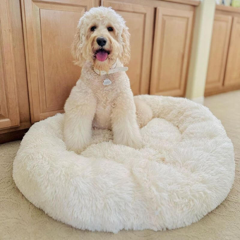 Soothing Anti-Stress Dog Bed – Nuvio