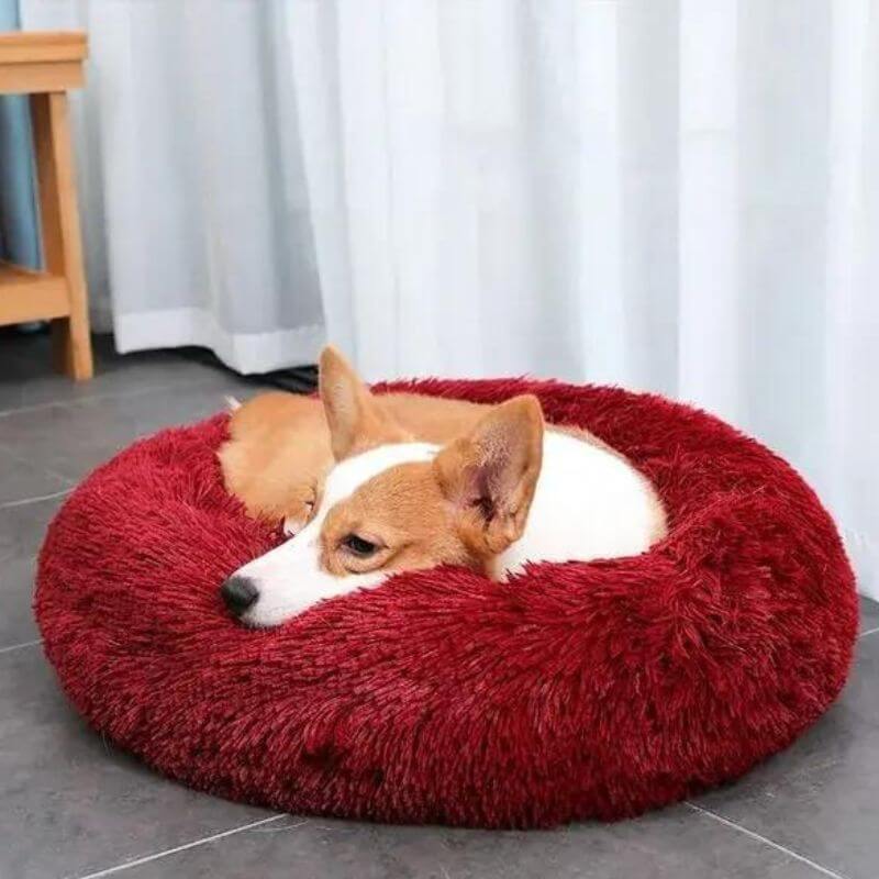 Soothing Anti-Stress Dog Bed – Nuvio