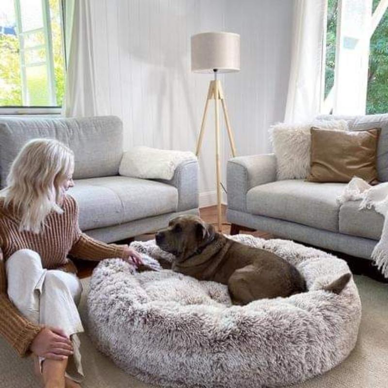 Soothing Anti-Stress Dog Bed – Nuvio
