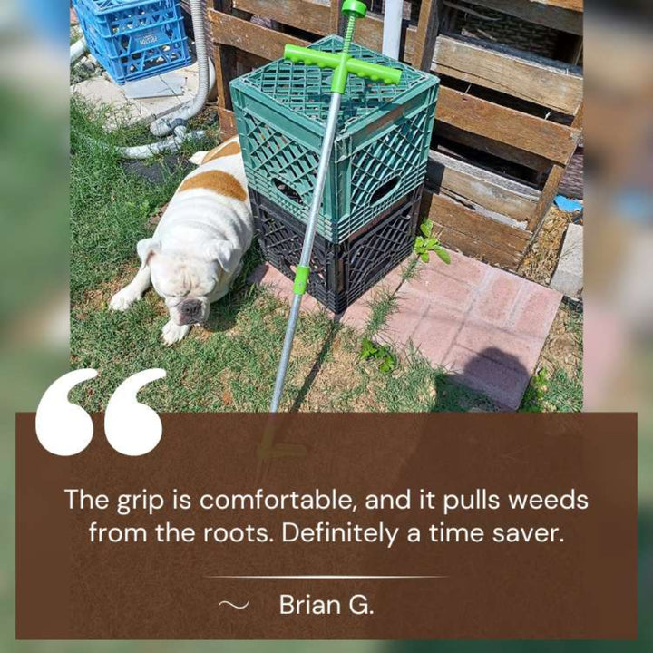 "Ergonomic garden weed puller for easy weeding, featuring durable steel design for effortless root removal without bending."