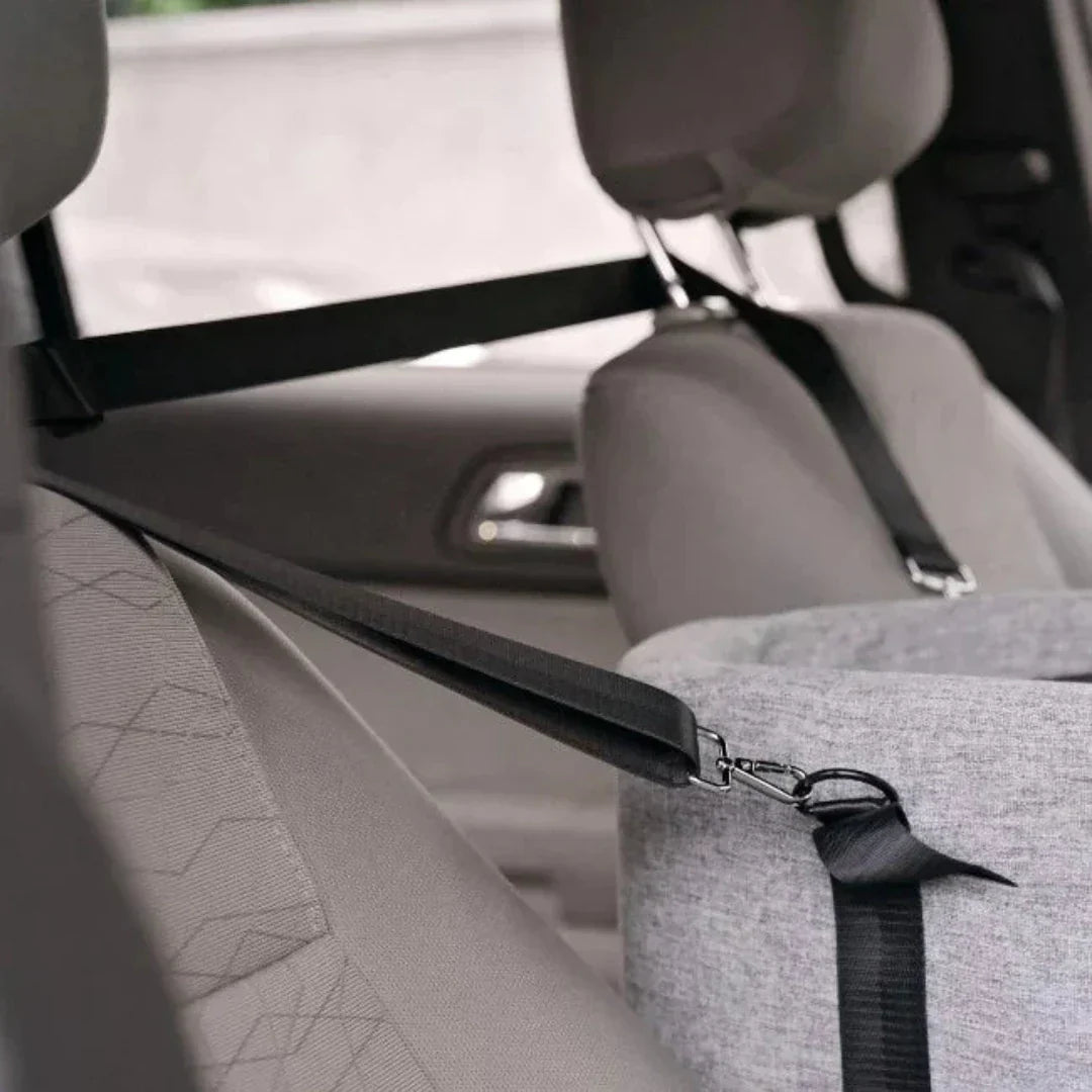 Pet Car Booster Seat - PawVoyage