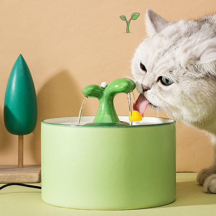 Cat Fountain – SpringFlow