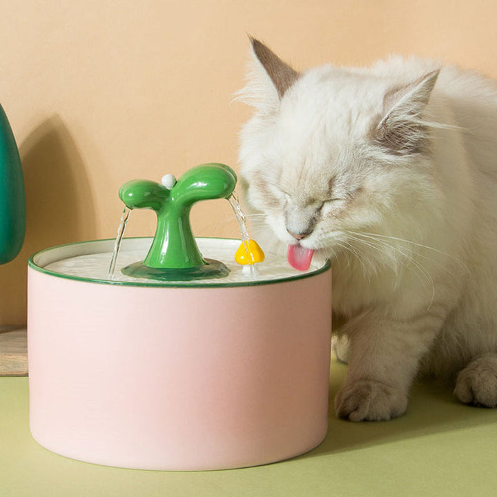Cat Fountain – SpringFlow