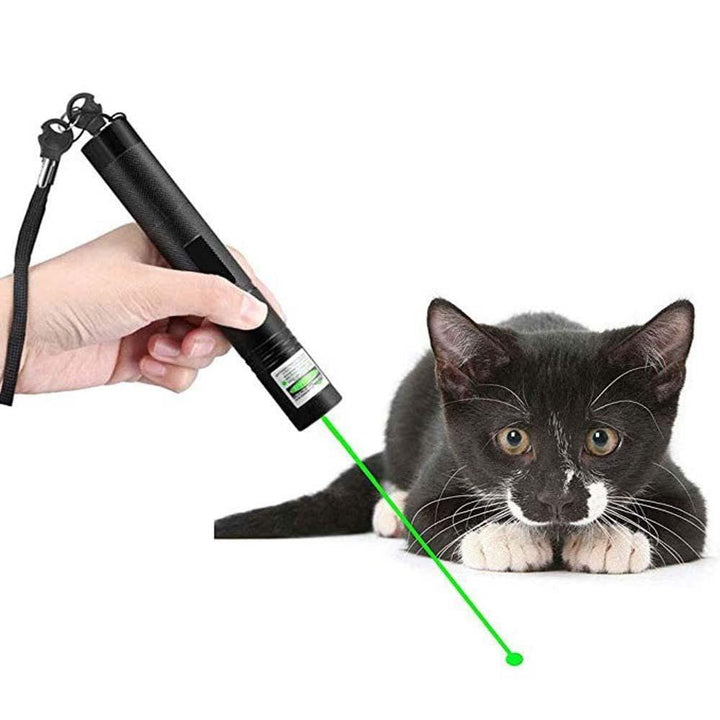 RegalBeam Precision Laser | Bright Green Laser for Professional Presentations and Outdoor Use