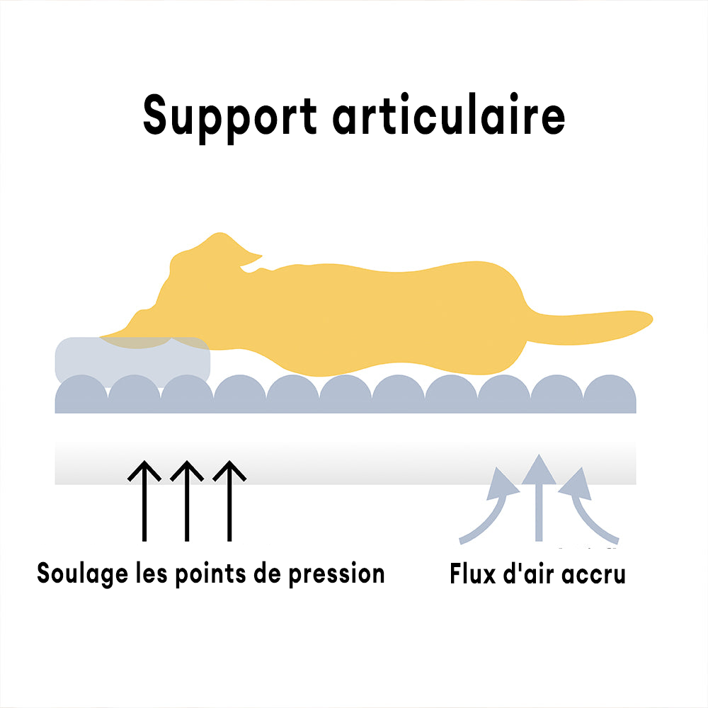 Orthopaedic Dog Bed - Extreme Support and Comfort