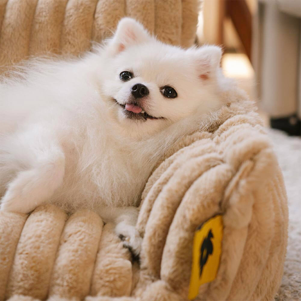Orthopaedic Dog Bed - Extreme Support and Comfort