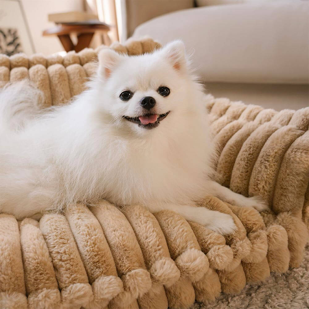 Orthopaedic Dog Bed - Extreme Support and Comfort