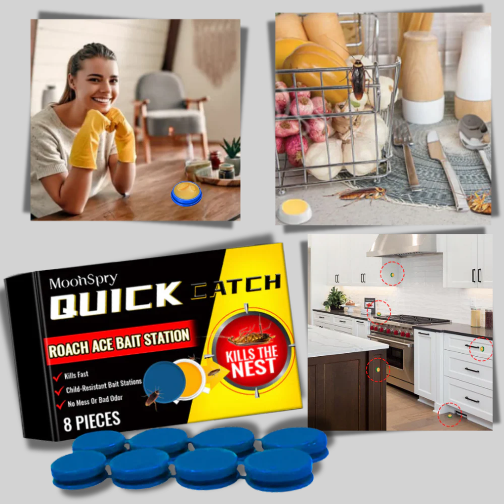 Odorless Cockroach Traps – Discreet Pest Control Solution