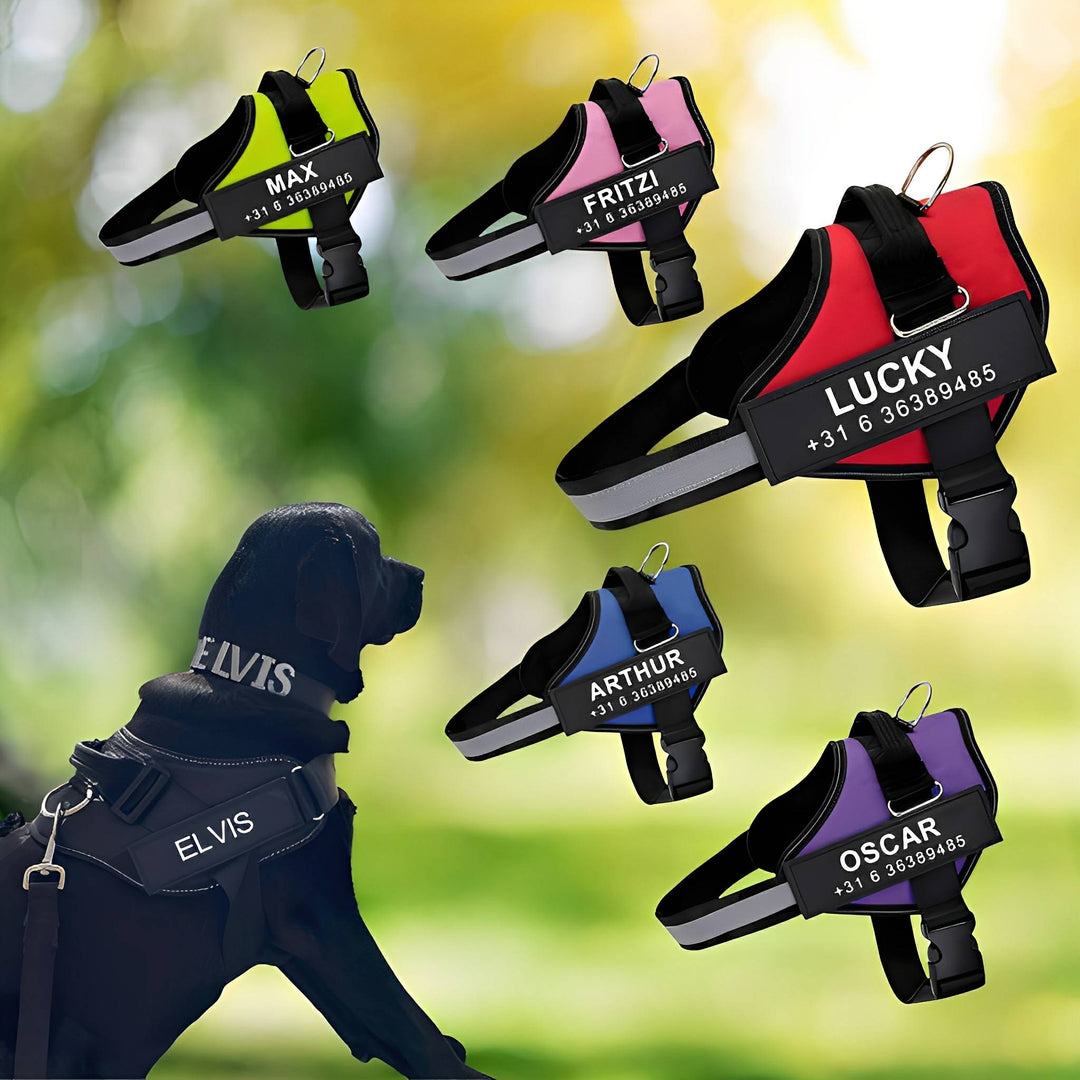 Personalisable Dog Harness – Reflective and Supportive Design