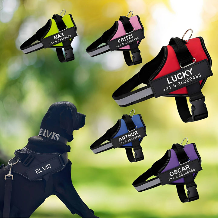 Personalisable Dog Harness – Reflective and Supportive Design