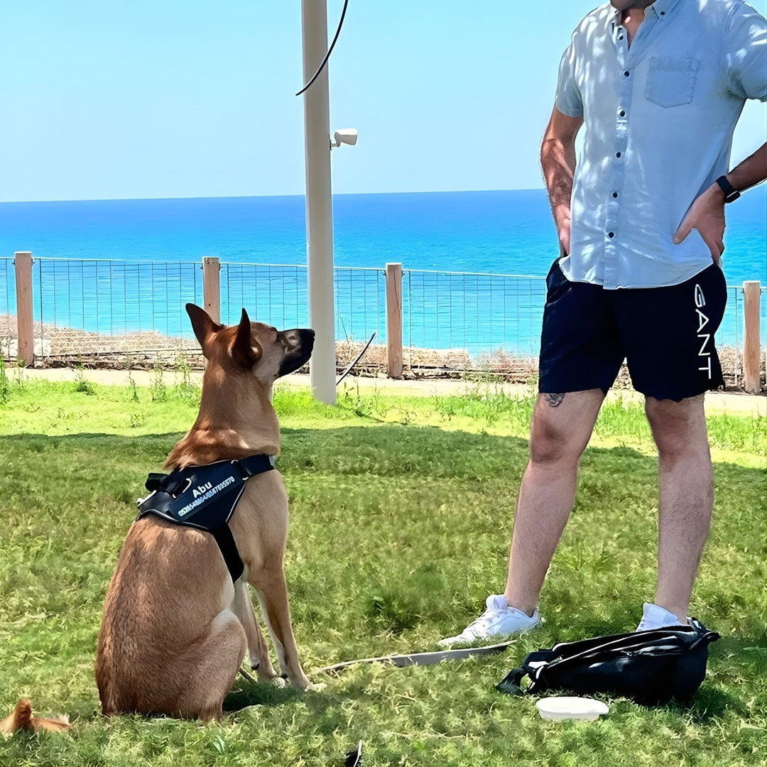 Personalisable Dog Harness – Reflective and Supportive Design