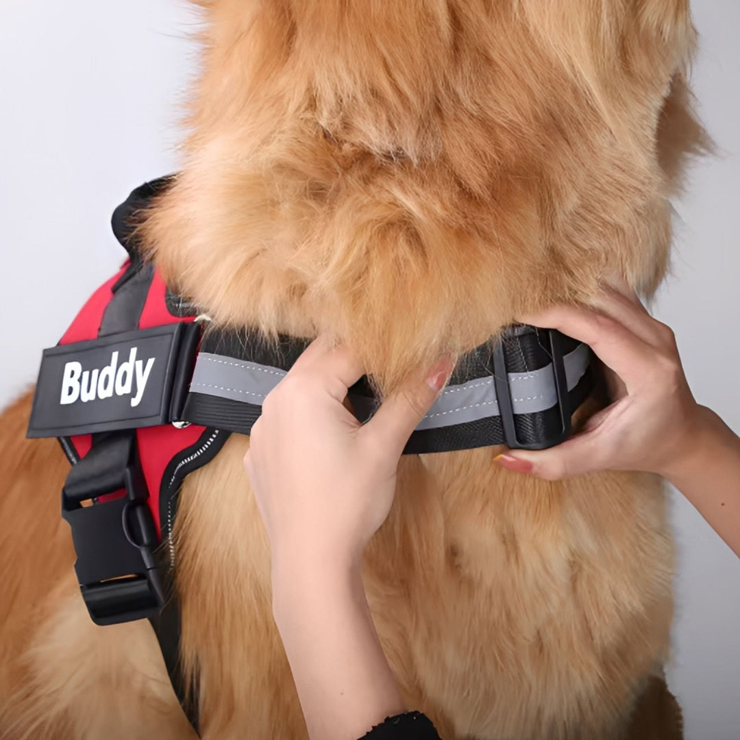 Personalisable Dog Harness – Reflective and Supportive Design