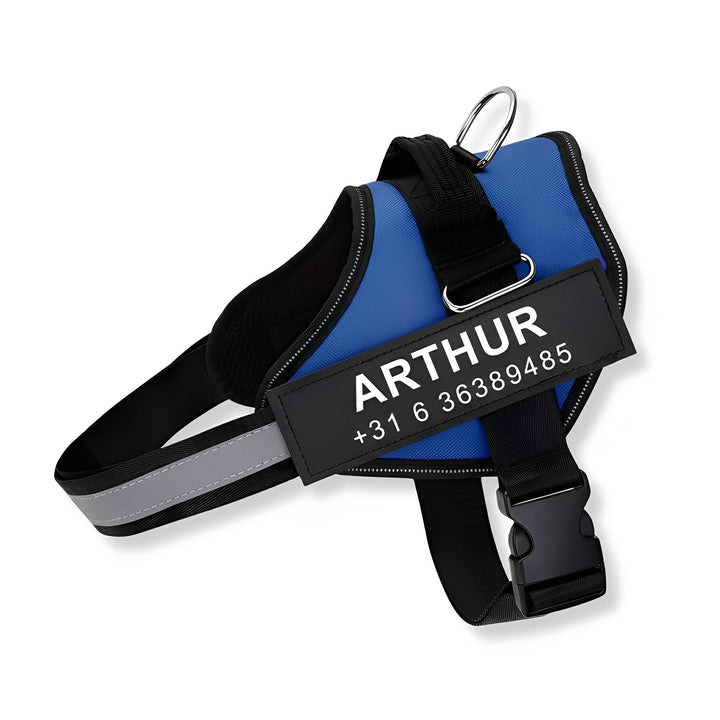Personalisable Dog Harness – Reflective and Supportive Design