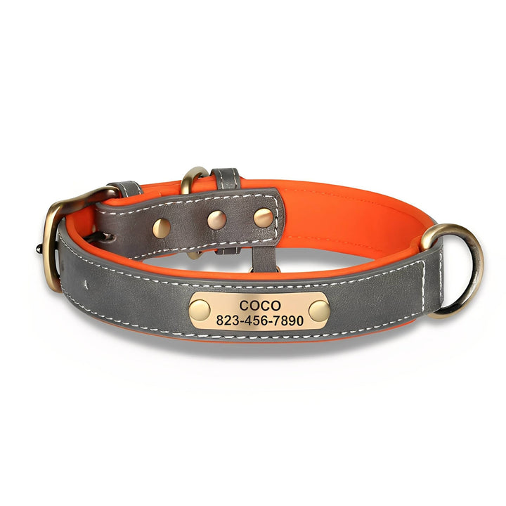 Engraved Leather Dog Collar with Personalised Nameplate