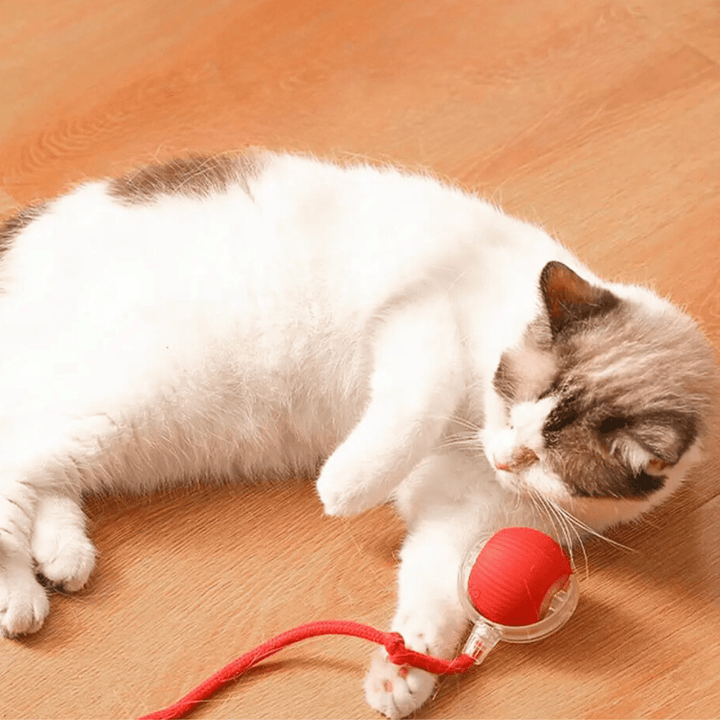 ChaseBall Interactive Chase Toy for Dogs and Cats - LED, USB