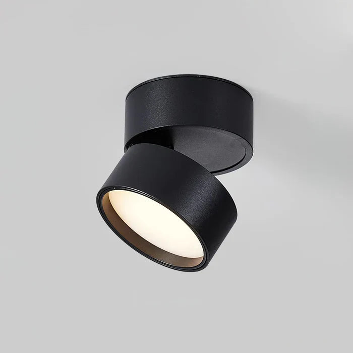 Modern Adjustable LED Ceiling Lamp