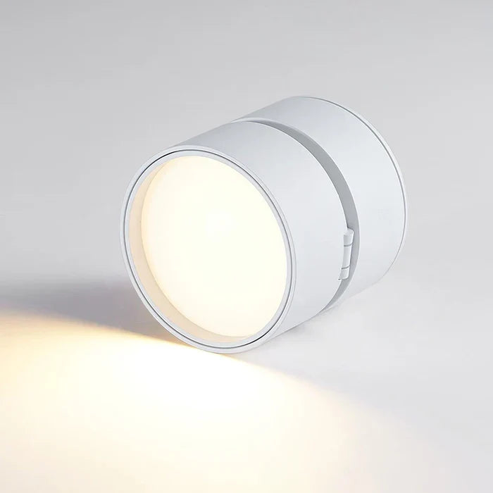 Modern Adjustable LED Ceiling Lamp