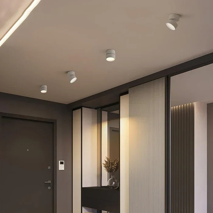 Modern Adjustable LED Ceiling Lamp
