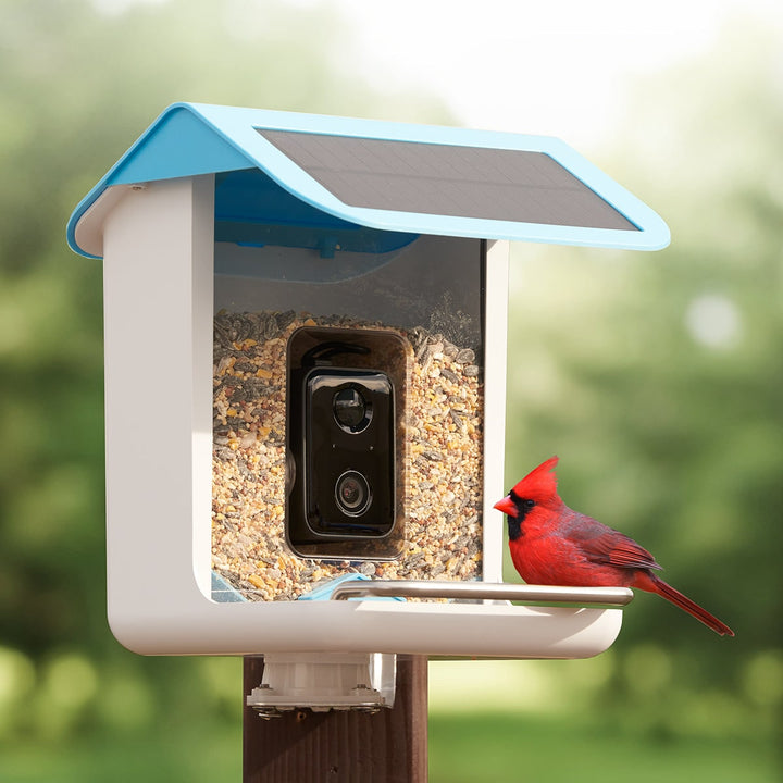 Smart Bird Feeder Camera Solar Powered WIFI Waterproof Outdoor With Video