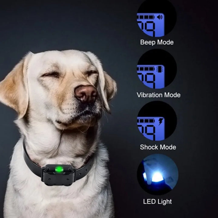 Electric Dog Training Collar – Safe, Effective, Waterproof