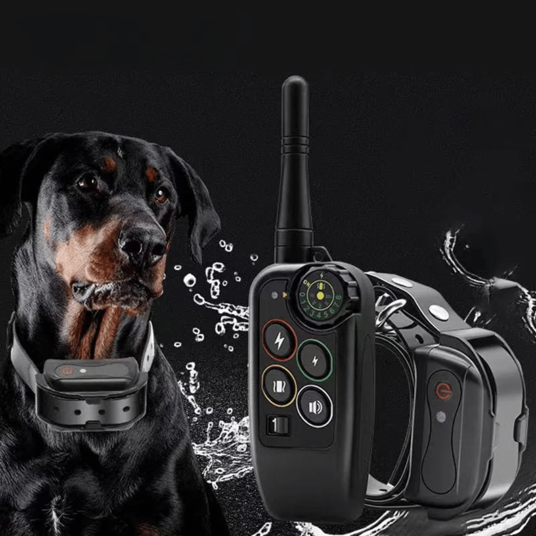 Waterproof Long-Range 1000m Dog Training Collar & Remote Control