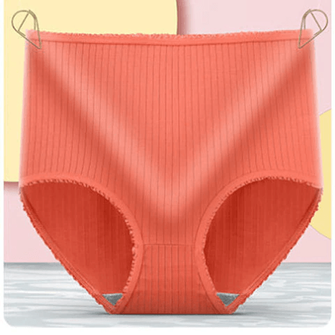 Women's Leakproof Briefs 3-Pack - Breathable Ribbed Briefs